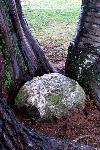Bartow Monument
