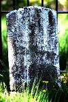 Groveton Confederate Cemetery