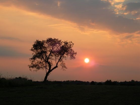 Manassas National Battlefield Park at sunrise