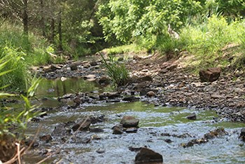 Rocks along Young's Branch stream
