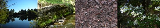 Geology