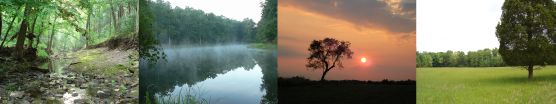 Natural Features and Ecosystems