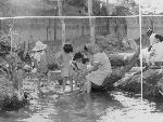Wading in the Creek