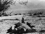 First Manzanar Grave