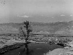 Reservoir, sagescrub and mountains in background