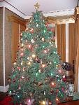 Holiday Tree
