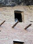Spotted owl in doorway of cliff dwelling.