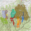 Fire history map.