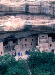 Overview of Spruce Tree House