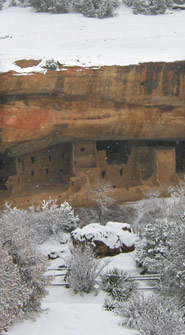 Spruce Tree House in winter