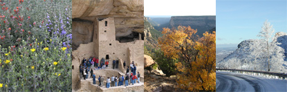 Collage of four seasons at Mesa Verde