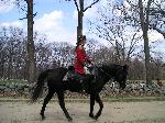 Mounted officer