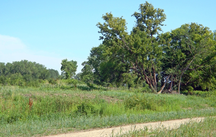 View of the southern oak savanna