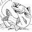 Fish Coloring Book