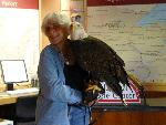 Junior Rangers View a Bald Eagle