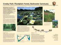 CrosbyPark2