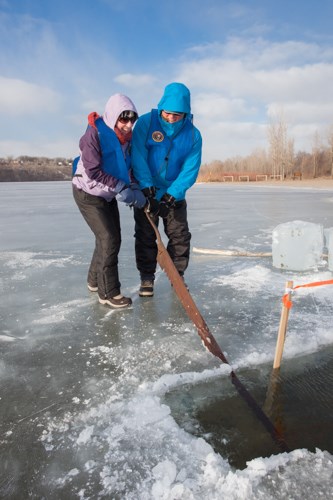 Two people sawing ice on a frozen lake.