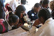 Students on board the paddleboat peering through a microscope at an insect.