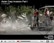 Asian Carp Invasion