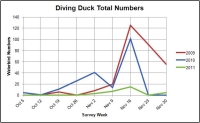 Diving Ducks