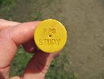 Survey marker cap