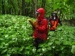 Surveys are conducted no matter the weather