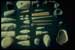 Tools made of mussel shells.