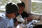 BRJ on-board science
