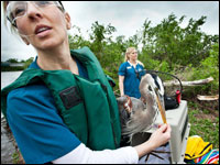 Recovery team works to extract wounded herons from the rookery located downstream of North Mississippi Regional Park.
