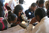 Students on board the paddleboat peering through a microscope at an insect.