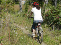 A mountain biker enjoying a day out on the trails.