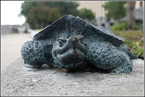 A small bronze statue of a Mississippi River snapping turtle rests on a short wall.