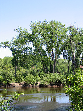 north_mississippi