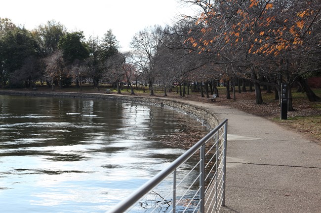 A railing blocks the Tidal Basin, but ends in the middle of the picture.