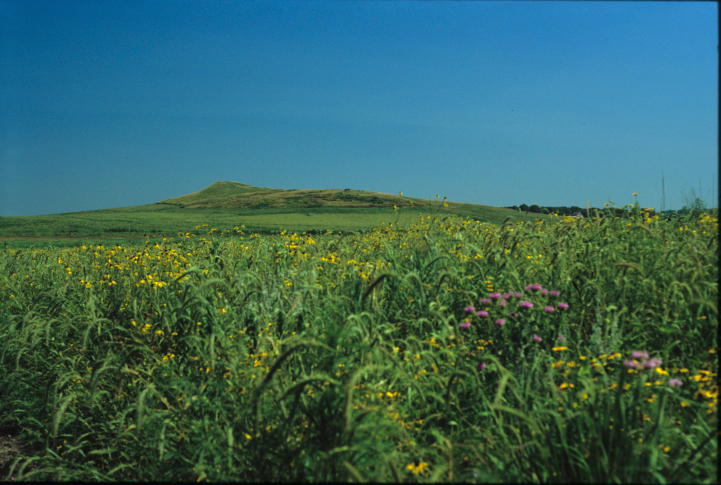 Spirit Mound