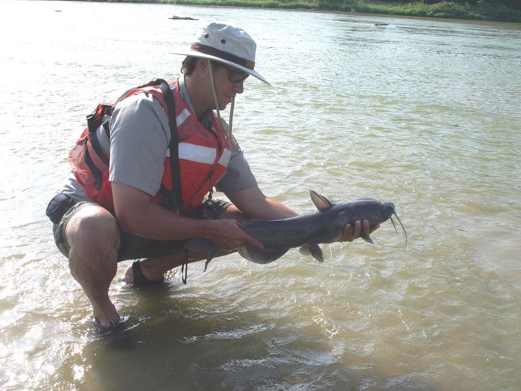 National Park Biologist holding a channel catfish in the Niobrara River
