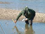 Taking detailed measurements of the North Alabama