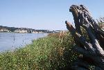 From the Old Ferry Landing by Niobrara, NE