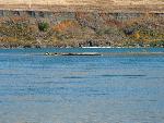 Down by the Yankton Sioux Reservation