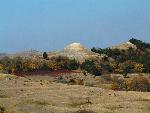 Old Baldy