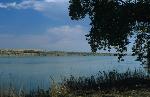 Shady Place