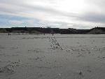 Park Stakeholders on sandbar near Sanctuary Island