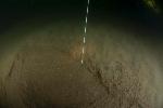 Dive Image Two
