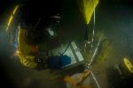 Dive Image Four