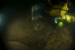 Dive Image Five