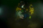 Dive Image Six