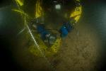Dive Image Seven
