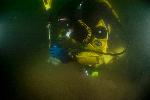 Dive Image Eight