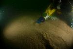 Dive Image Ten