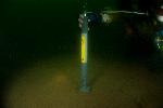 Dive Image Eleven